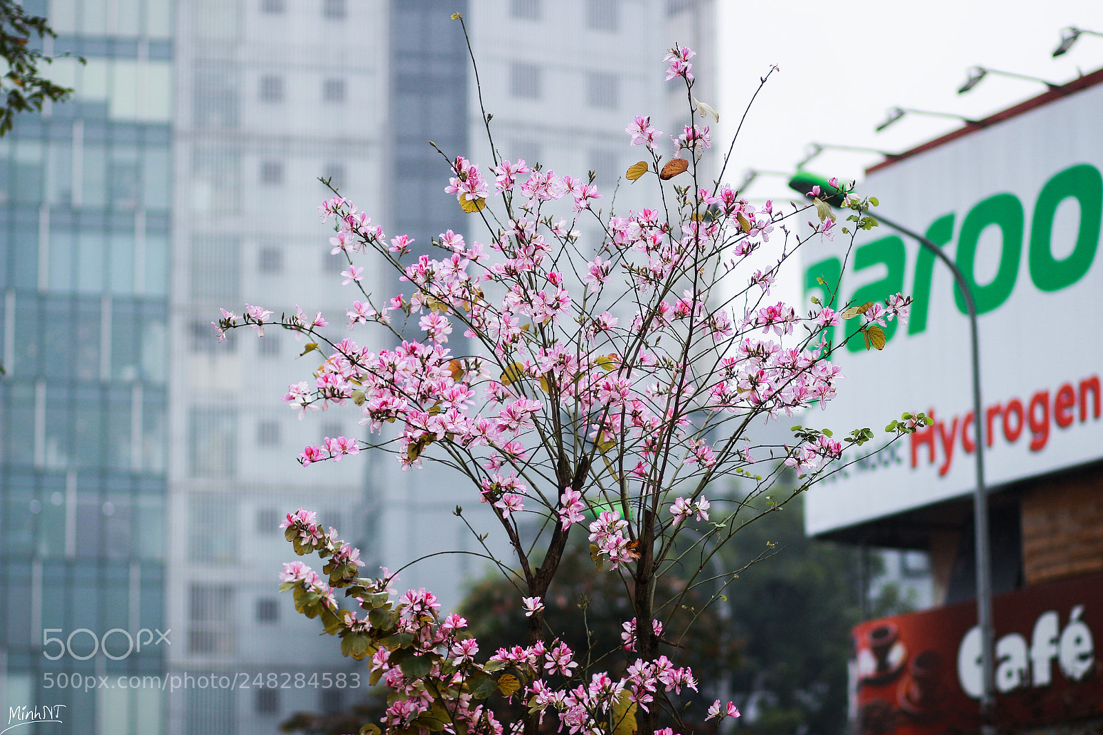 Canon EOS 700D (EOS Rebel T5i / EOS Kiss X7i) sample photo. Img photography