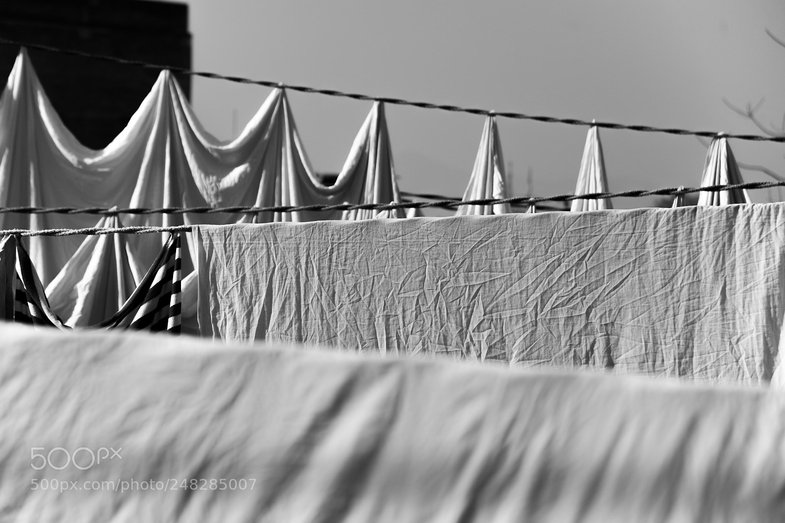 Nikon D610 sample photo. Line of life photography