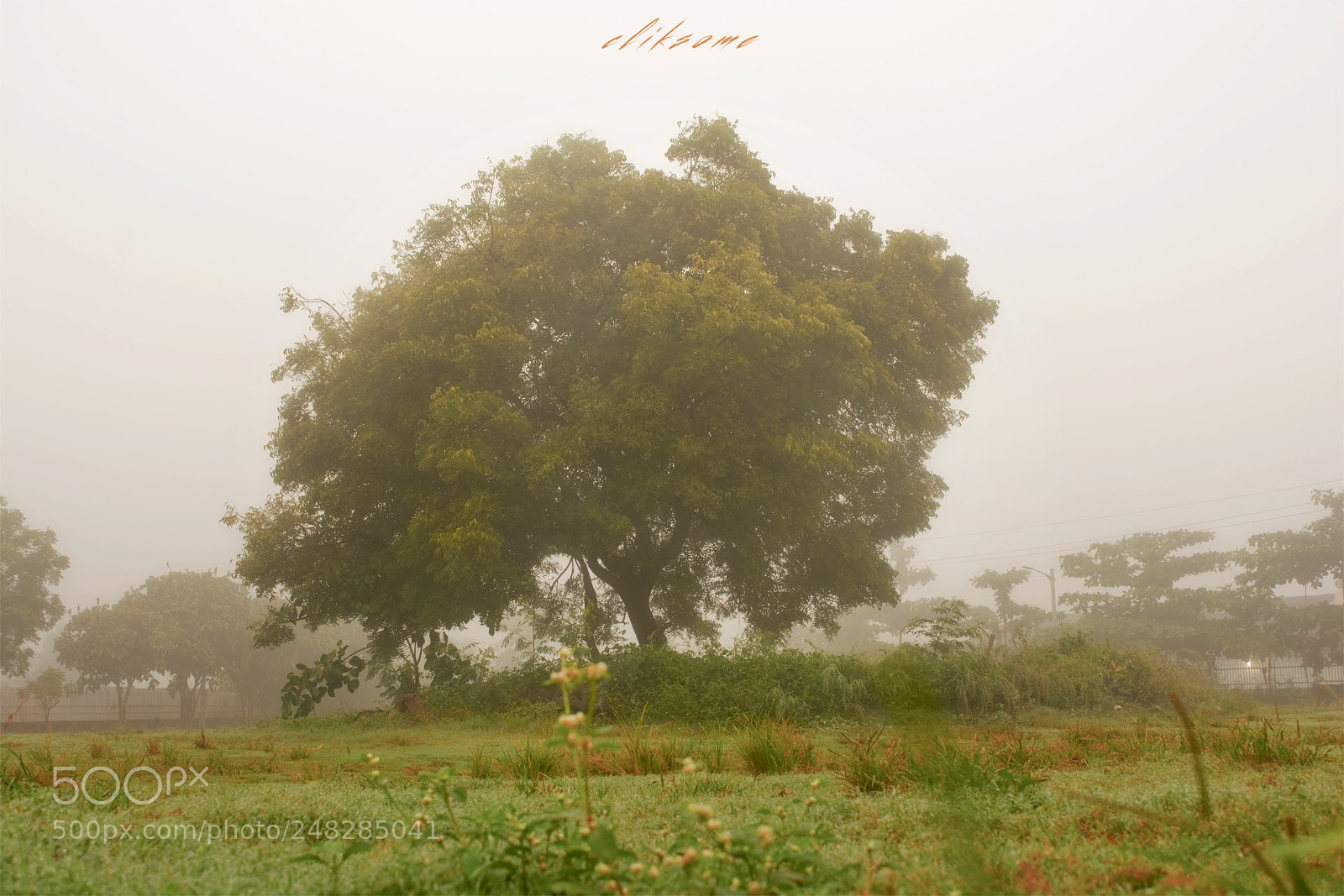 Nikon D5200 sample photo. Faded morning photography