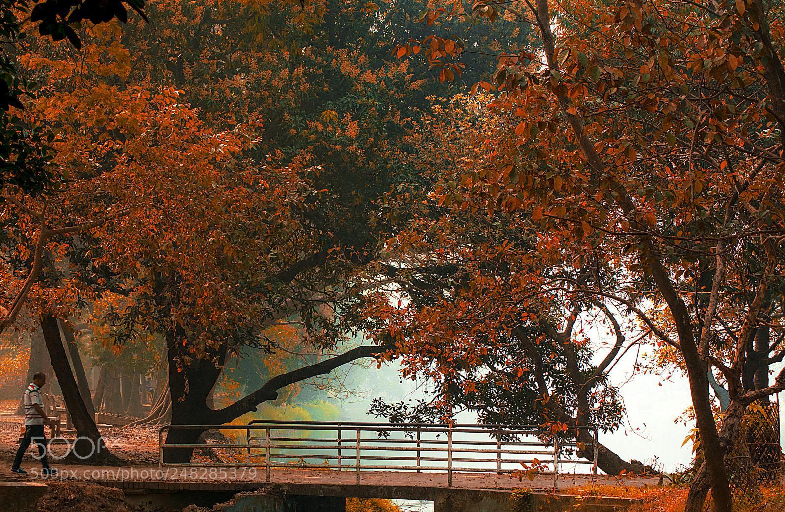 Nikon D7100 sample photo. Ramna park photography