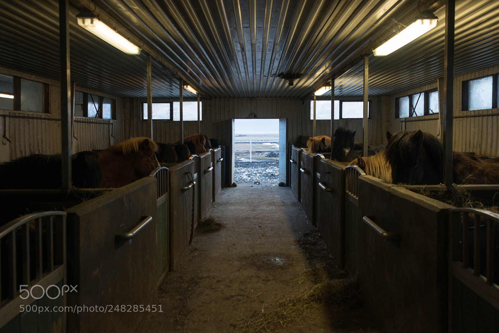 Nikon D800 sample photo. Iceland february 2018 photography