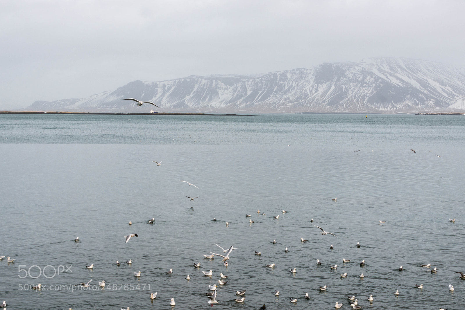 Nikon D800 sample photo. Iceland february 2018 photography