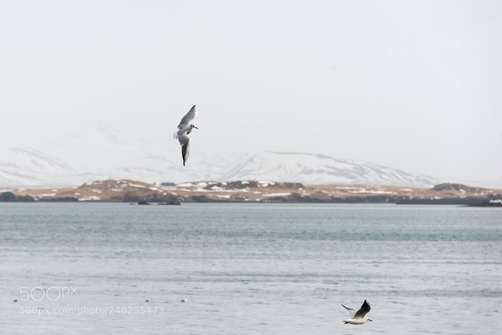 Nikon D800 sample photo. Iceland february 2018 photography