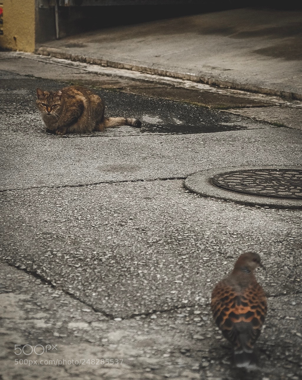 Fujifilm X-T20 sample photo. Lunch time? photography
