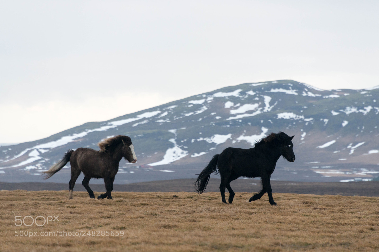 Nikon D800 sample photo. Iceland february 2018 photography
