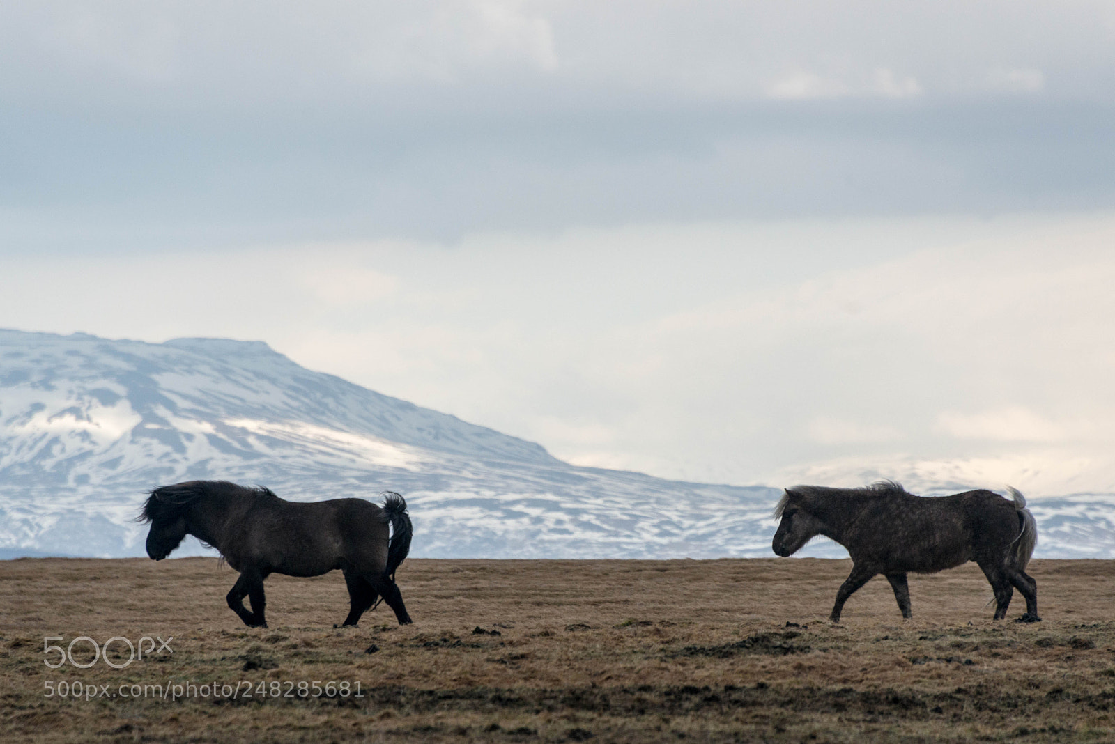 Nikon D800 sample photo. Iceland february 2018 photography
