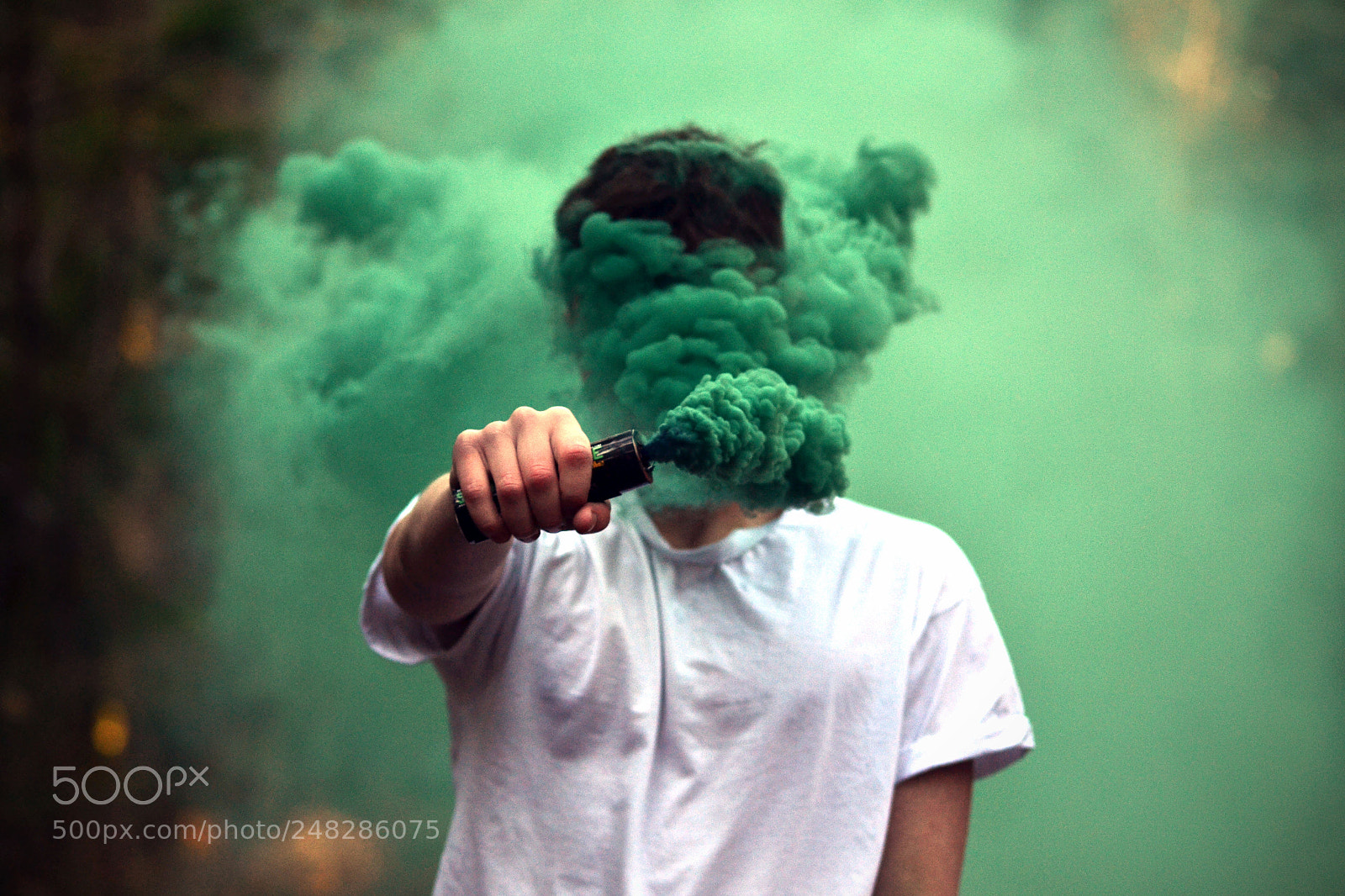 Nikon D3100 sample photo. Green photography