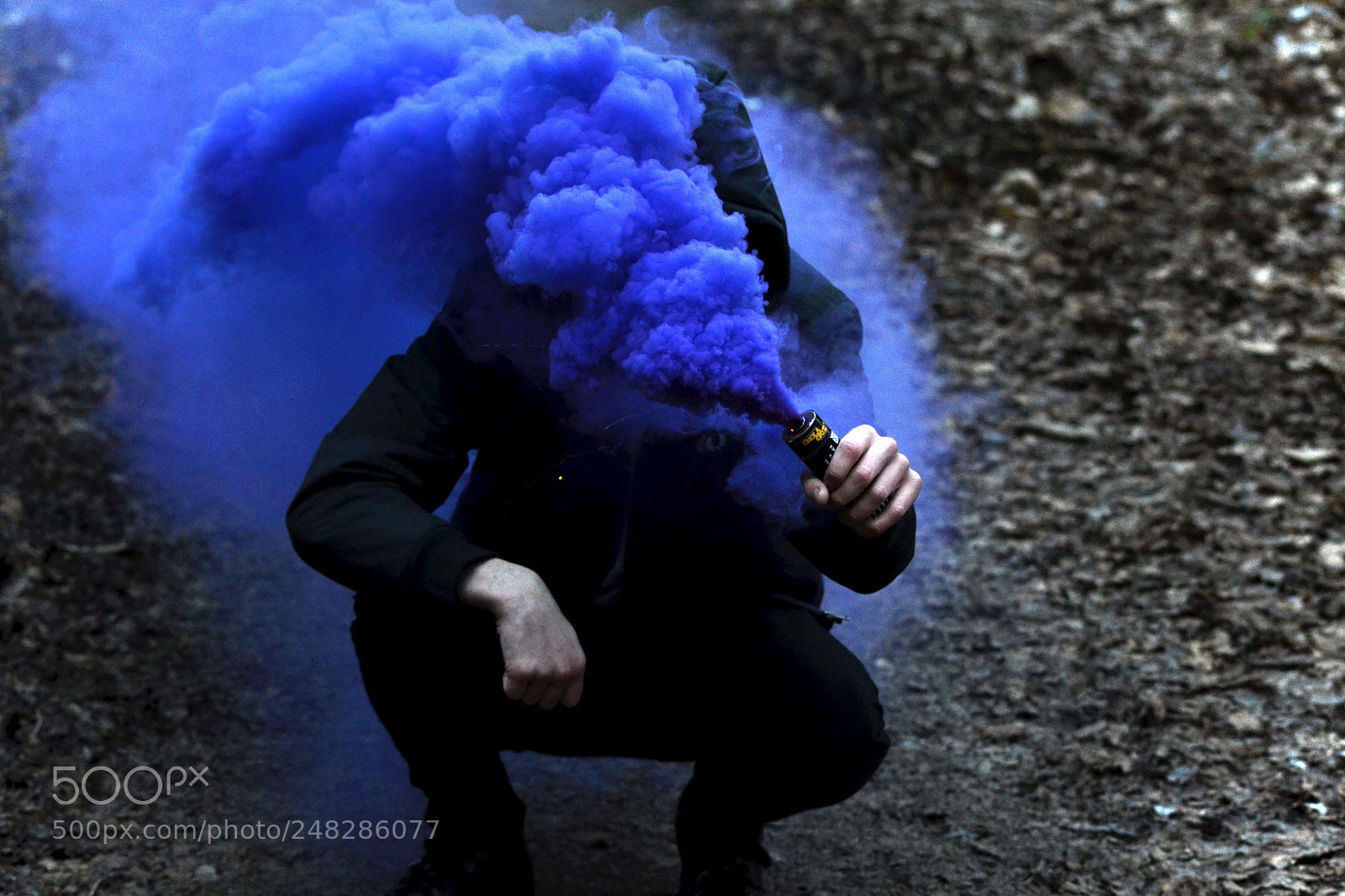 Nikon D3100 sample photo. Purple photography