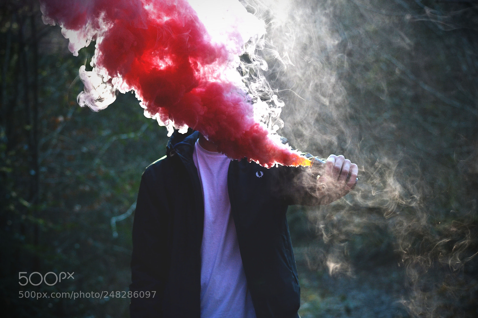 Nikon D3100 sample photo. Red photography