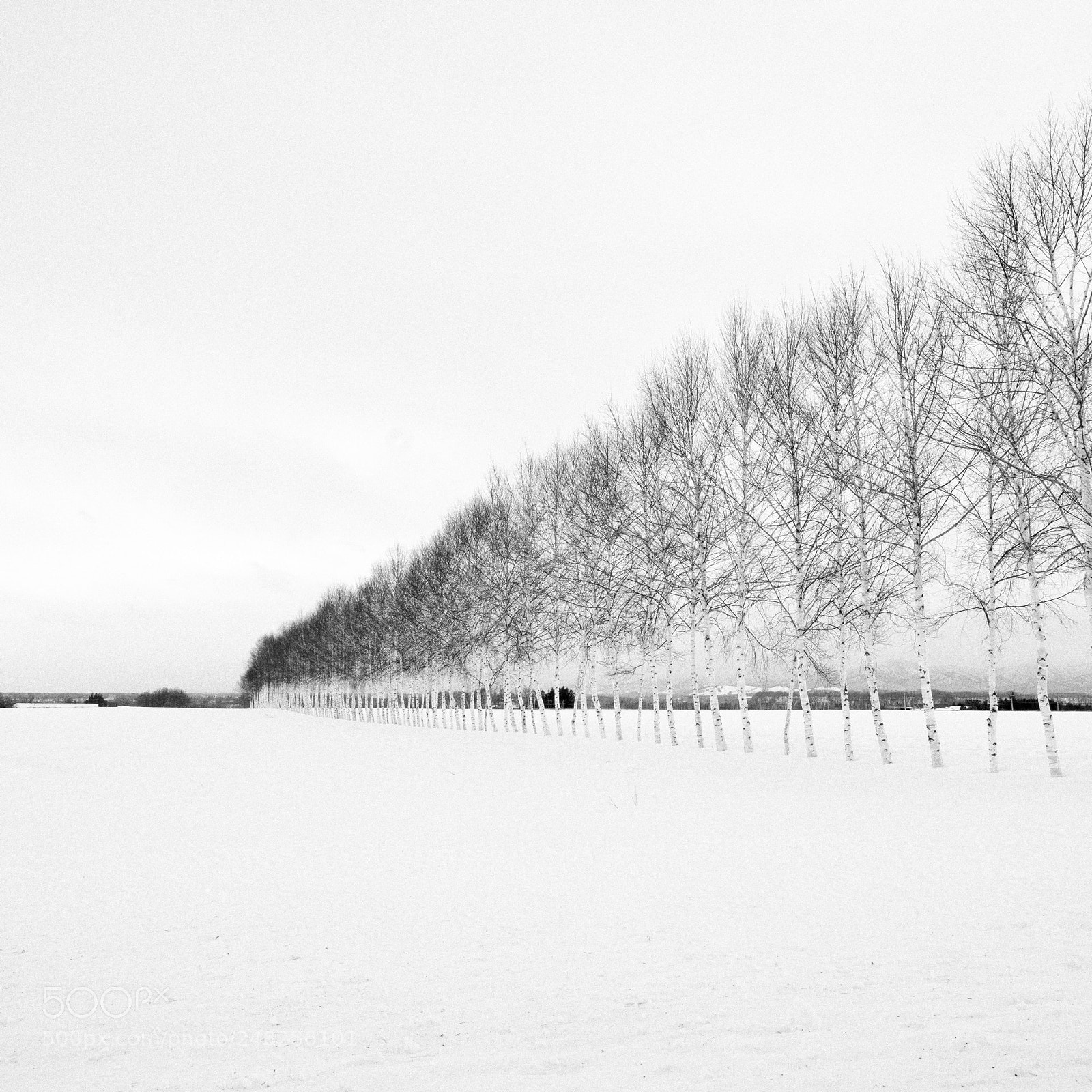 Fujifilm GFX 50S sample photo. Hokkaido #1 photography