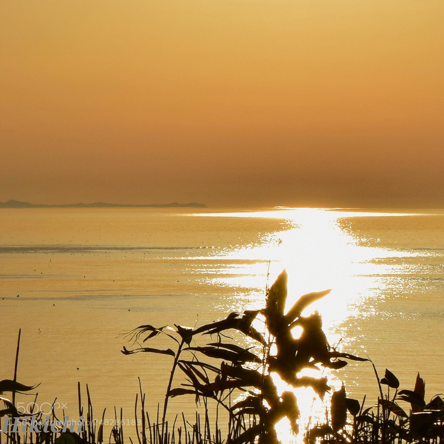 Nikon D5300 sample photo. Untitled photography