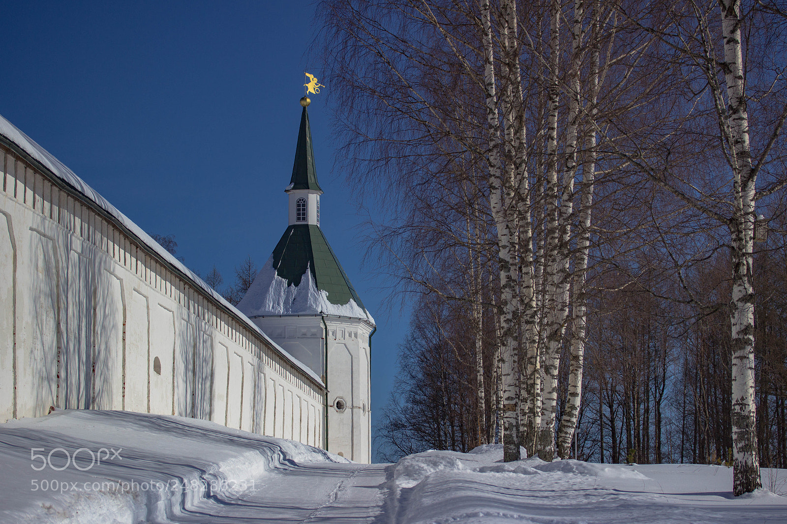 Canon EOS 600D (Rebel EOS T3i / EOS Kiss X5) sample photo. Солнечный день photography
