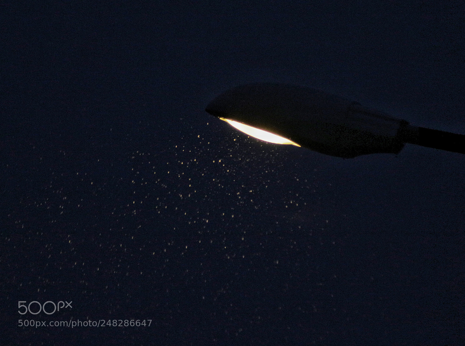 Canon EOS 700D (EOS Rebel T5i / EOS Kiss X7i) sample photo. Rain at night photography