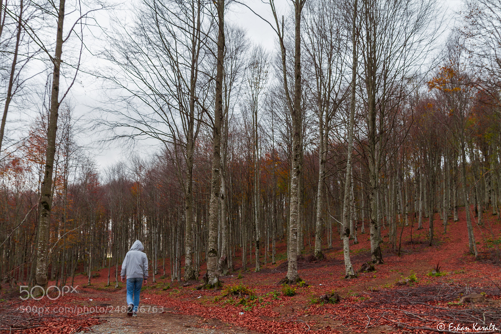 Canon EOS 7D sample photo. Walk photography