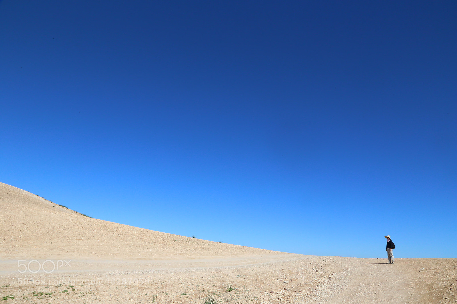 Canon EOS 6D + Canon EF 24-105mm F4L IS USM sample photo. Look into the wilderness photography