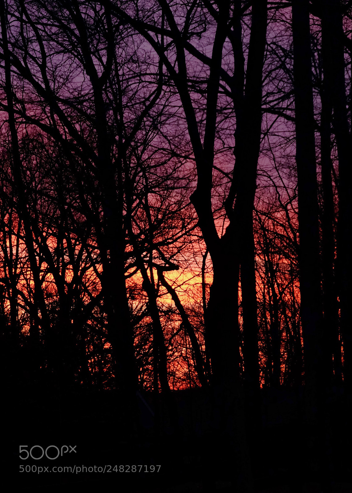 Fujifilm X-T1 sample photo. Winter sunset photography