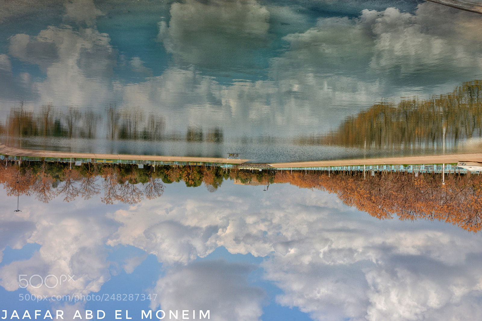 Nikon D7100 sample photo. Untitled photography