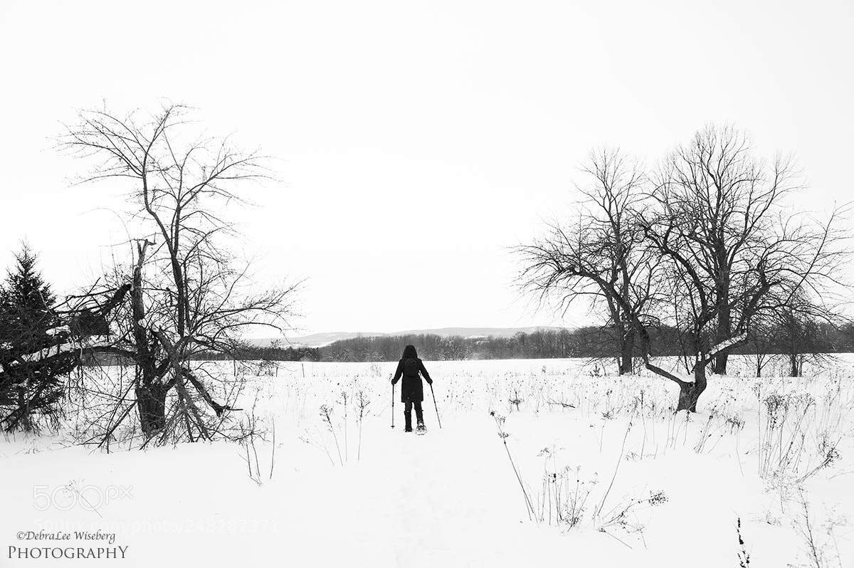 Nikon D700 sample photo. Across open fields photography