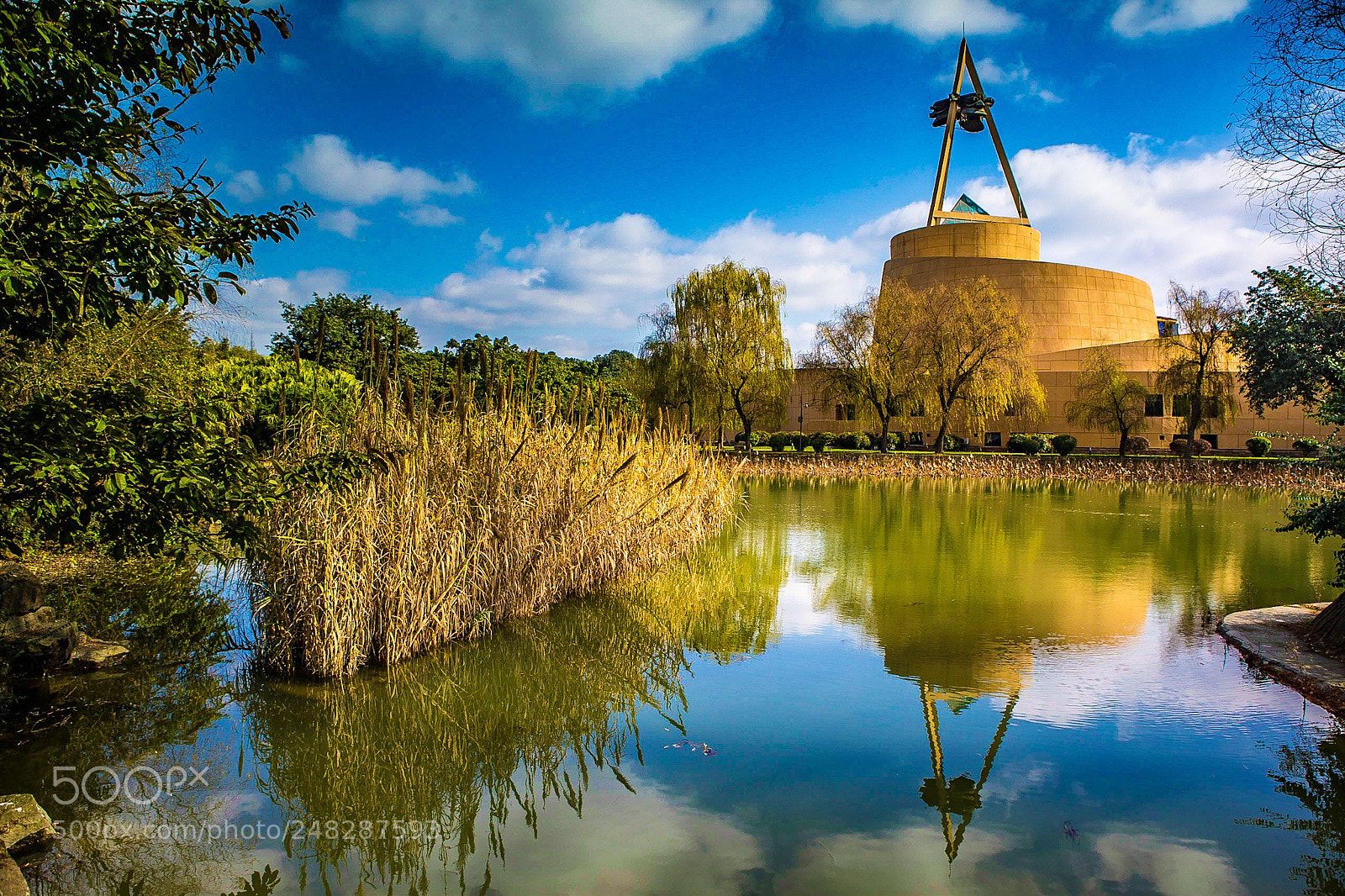 Canon EOS-1D X sample photo. Reflection photography