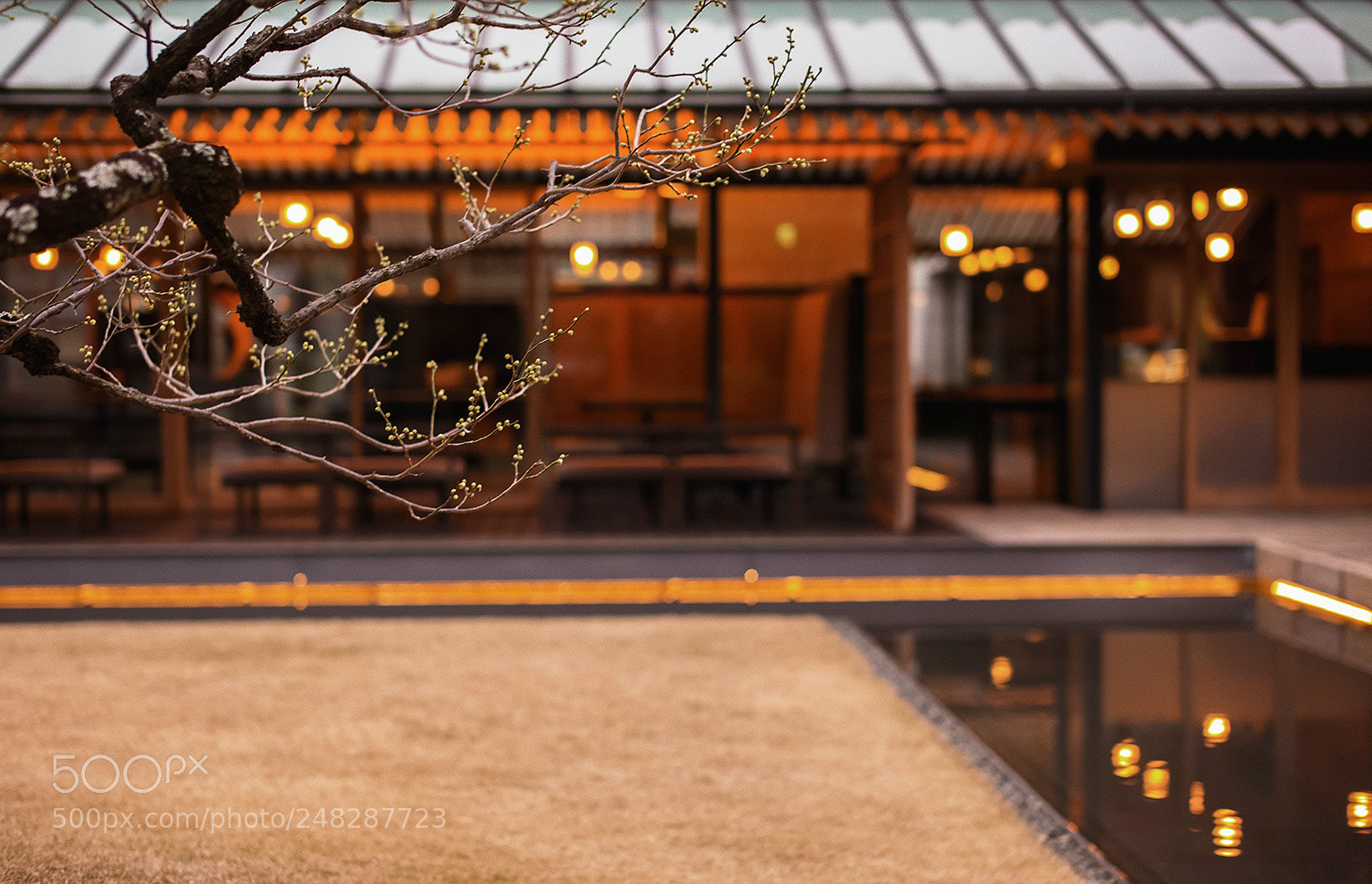 Leica M (Typ 240) sample photo. Spring photography