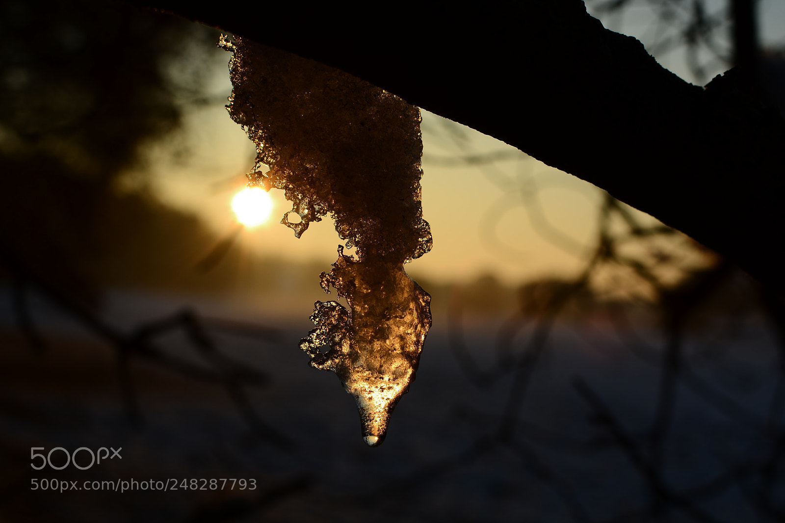 Nikon D5200 + Nikon AF-S DX Nikkor 35mm F1.8G sample photo. Ice in the sunshine photography