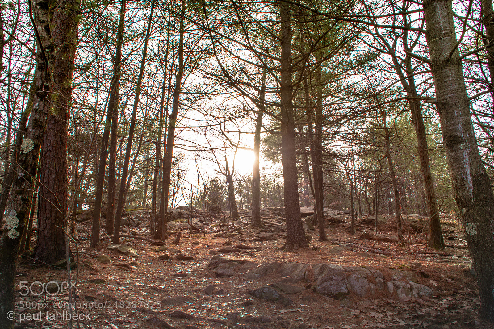Nikon D7200 sample photo. Elevation photography
