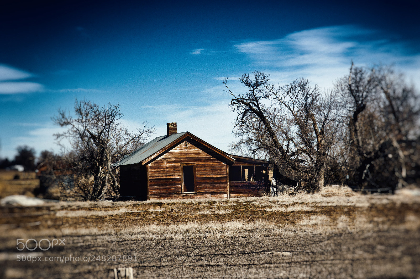 Canon EOS 7D Mark II sample photo. Homestead photography