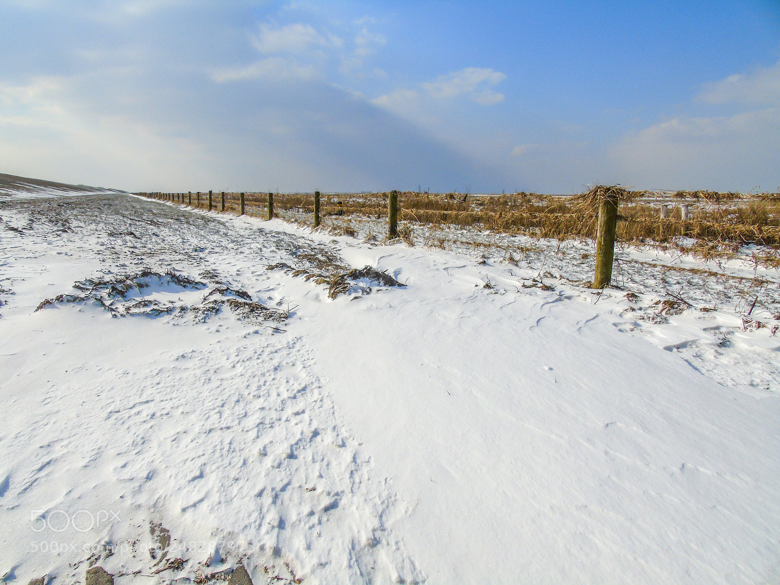 Sony Cyber-shot DSC-H400 sample photo. Snow photography