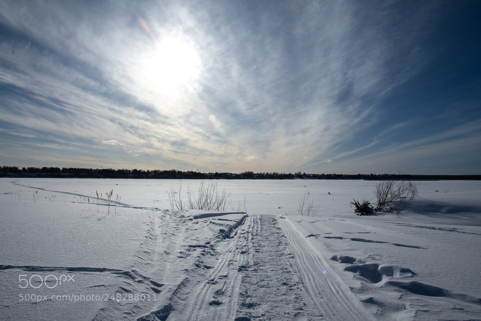 Nikon D7200 sample photo. Road. photography