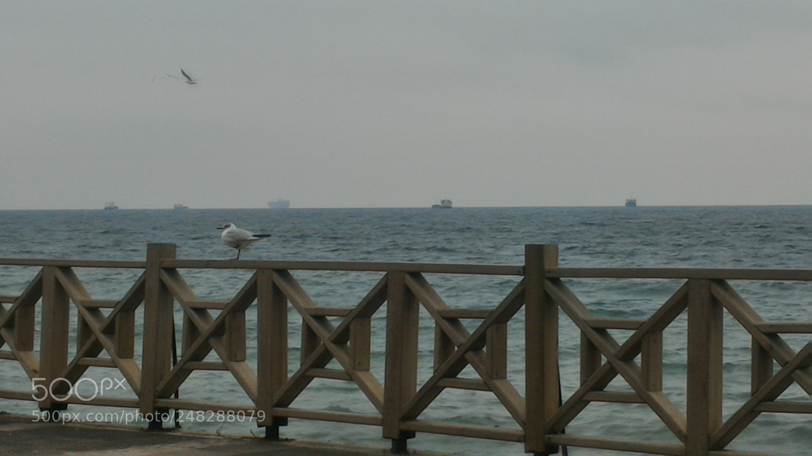 ASUS ZenFone 2 (ZE551ML) sample photo. Untitled photography