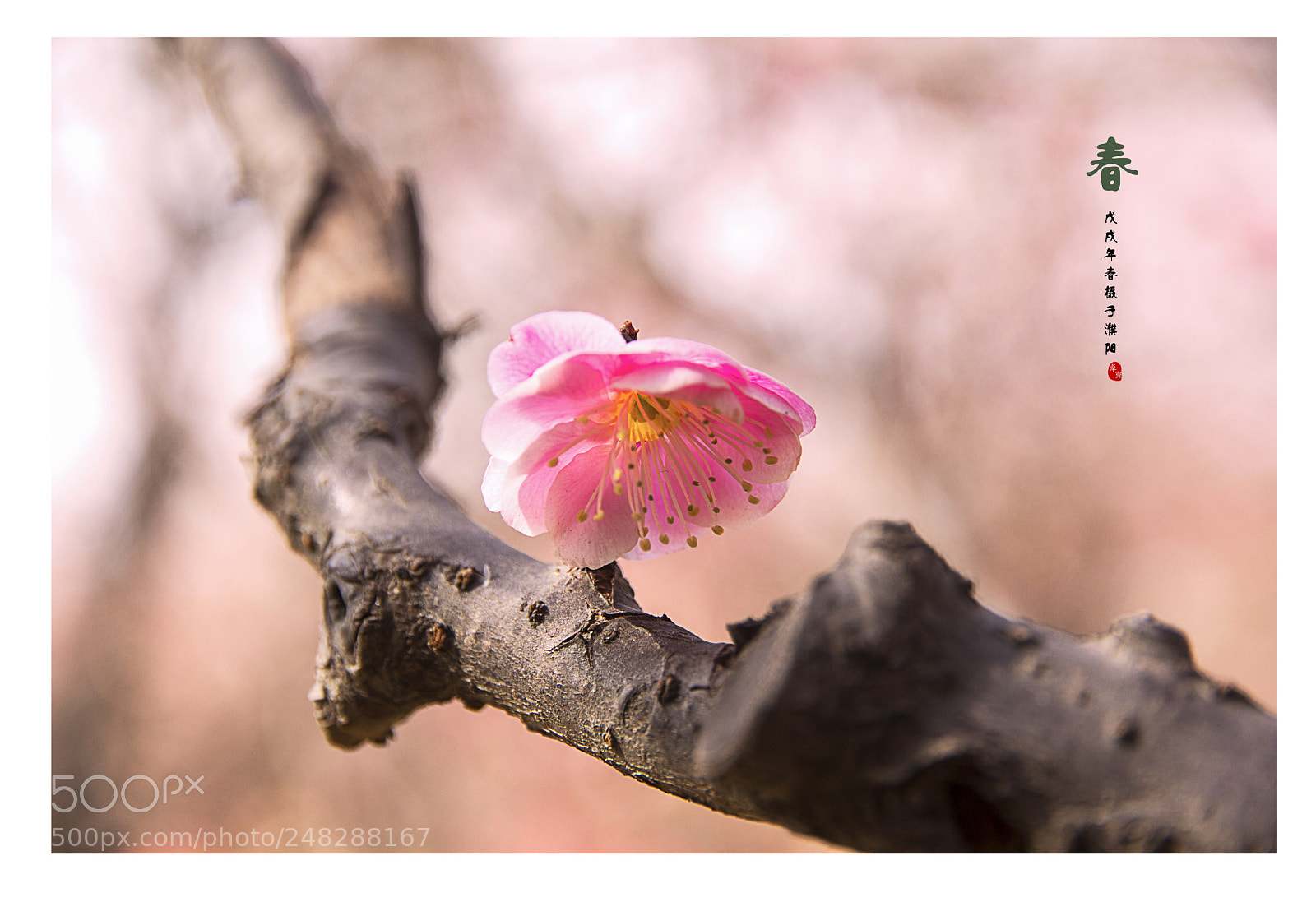 Canon EOS 60D sample photo. Untitled photography