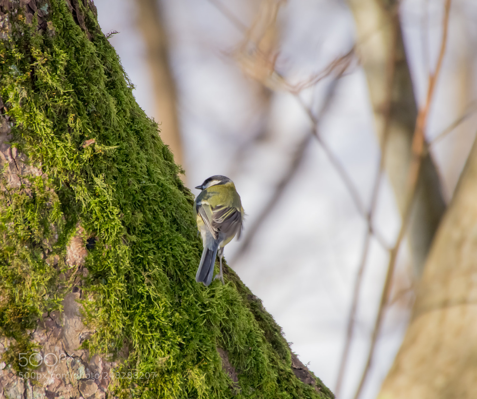 Pentax K-5 sample photo. Untitled photography