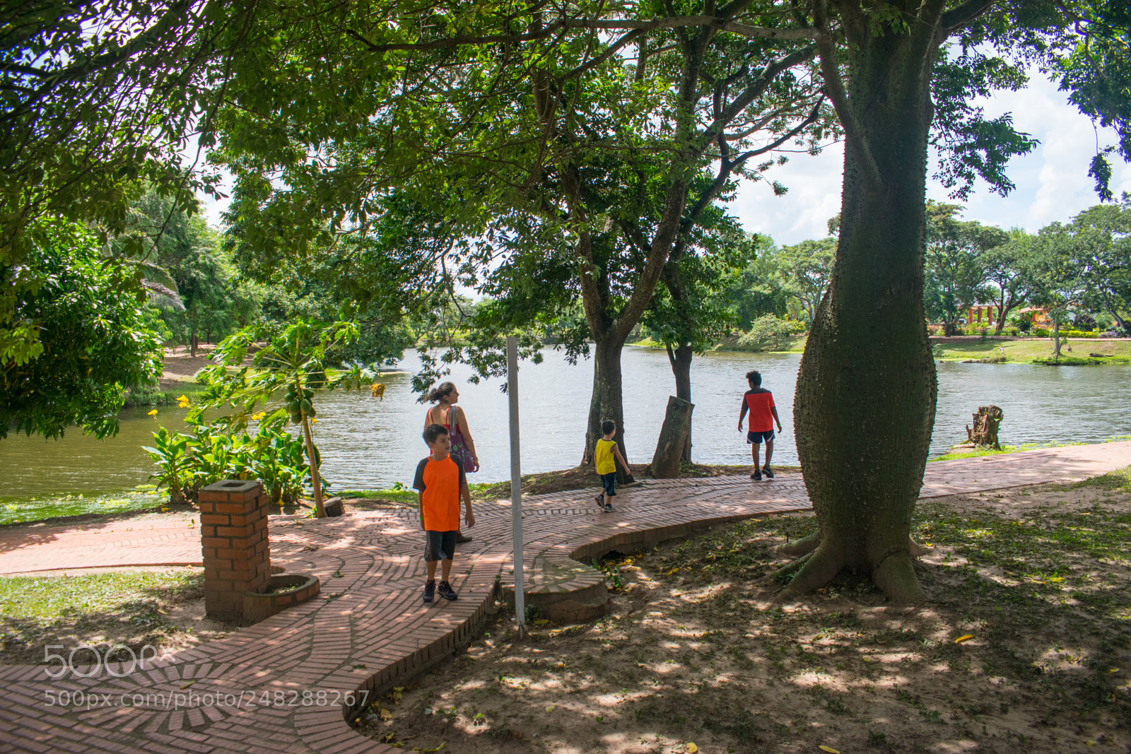 Nikon D5300 sample photo. Paseo familiar terramia photography