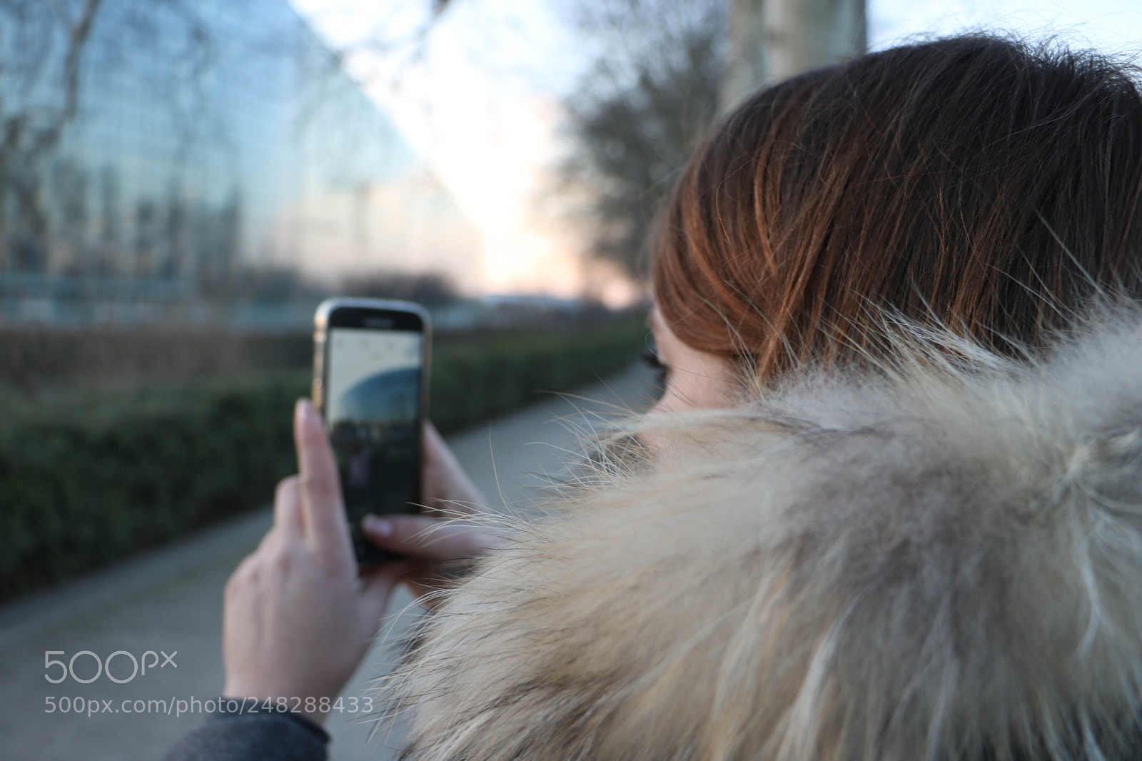 Canon EOS 750D (EOS Rebel T6i / EOS Kiss X8i) sample photo. Through the screen photography