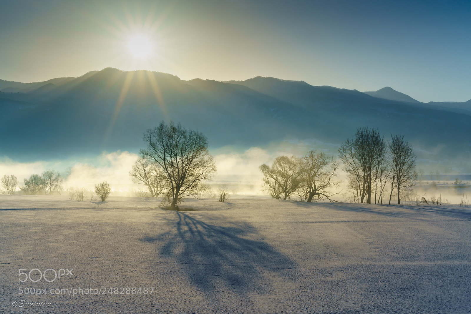 Sony a7R II sample photo. Morning fog photography