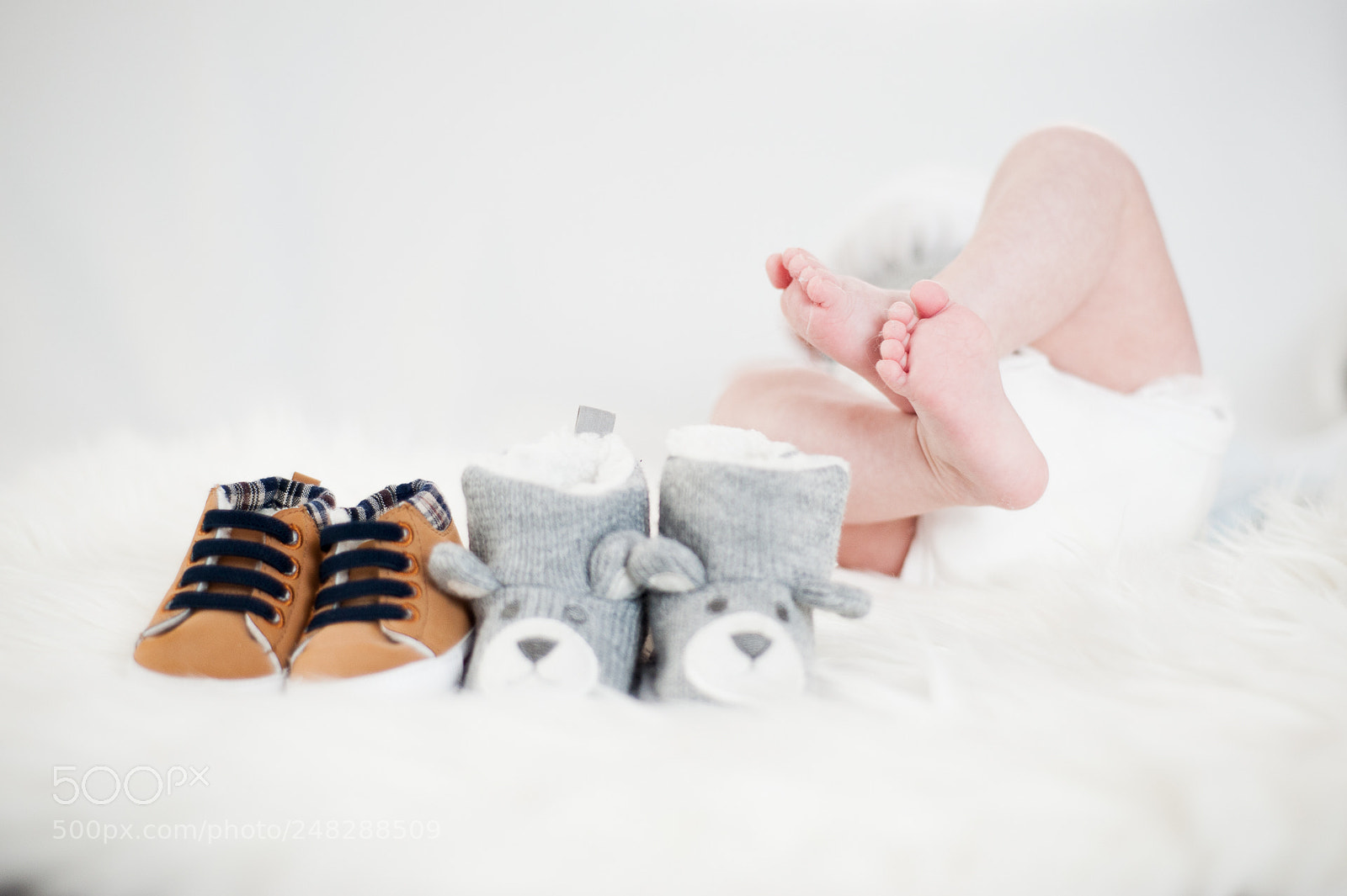 Nikon D700 sample photo. Happy feet photography