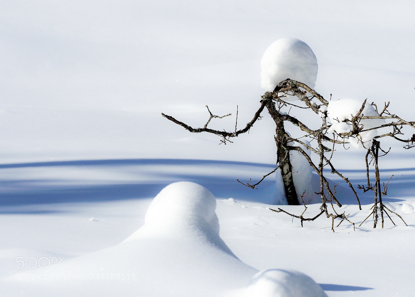 Olympus OM-D E-M1 Mark II sample photo. Winter in lithuania photography