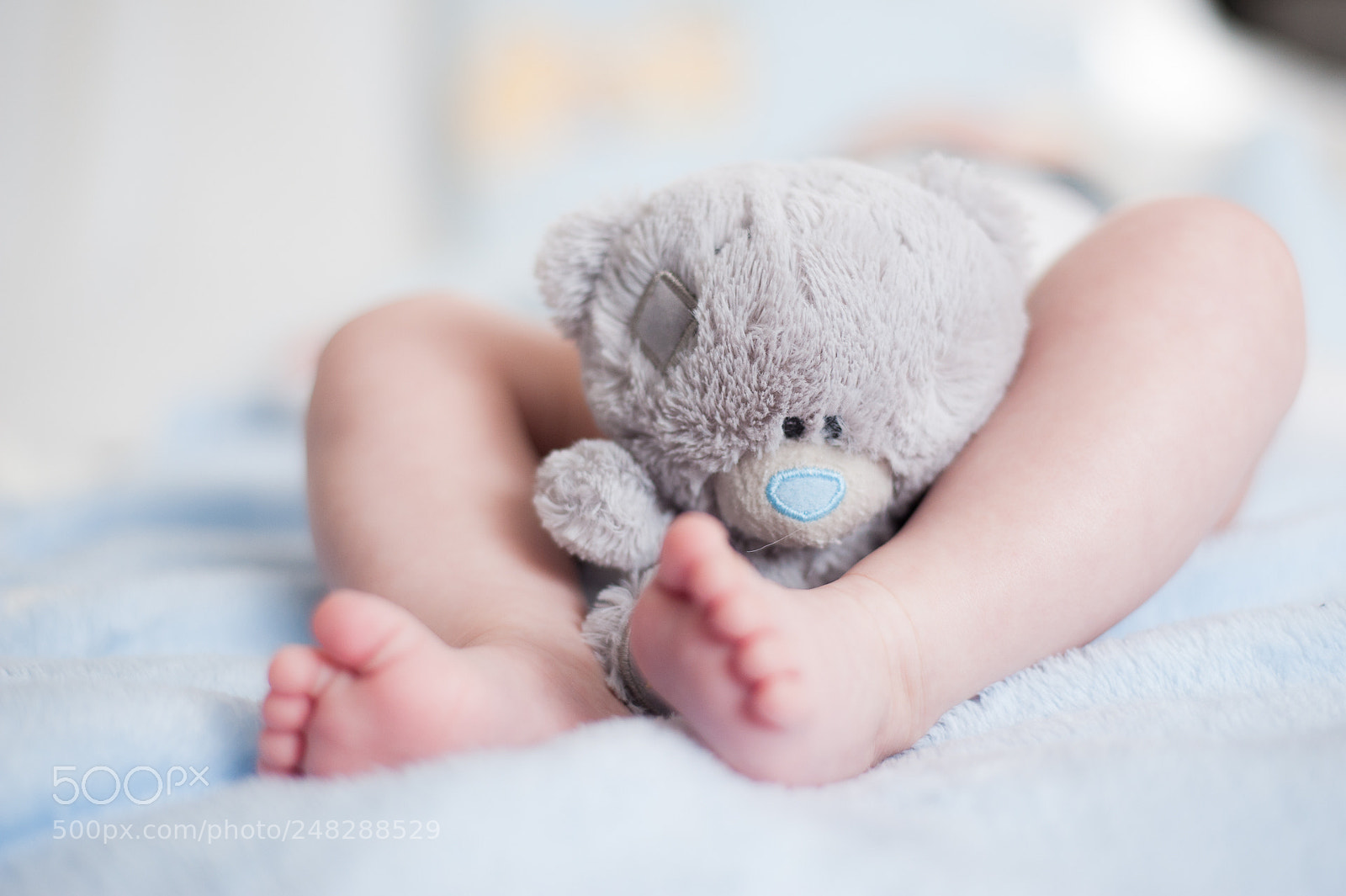 Nikon D700 sample photo. Warm teddy photography