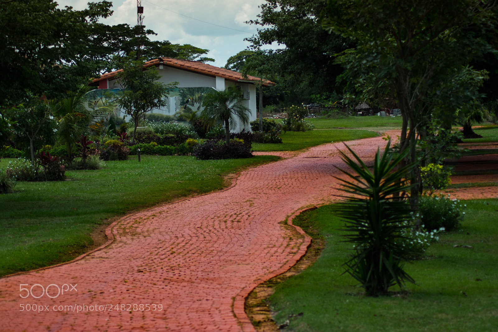 Nikon D5300 sample photo. Dsc photography