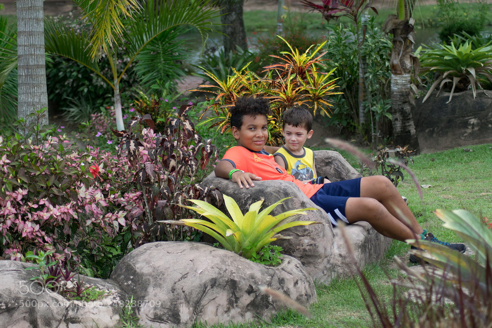 Nikon D5300 sample photo. Dsc photography