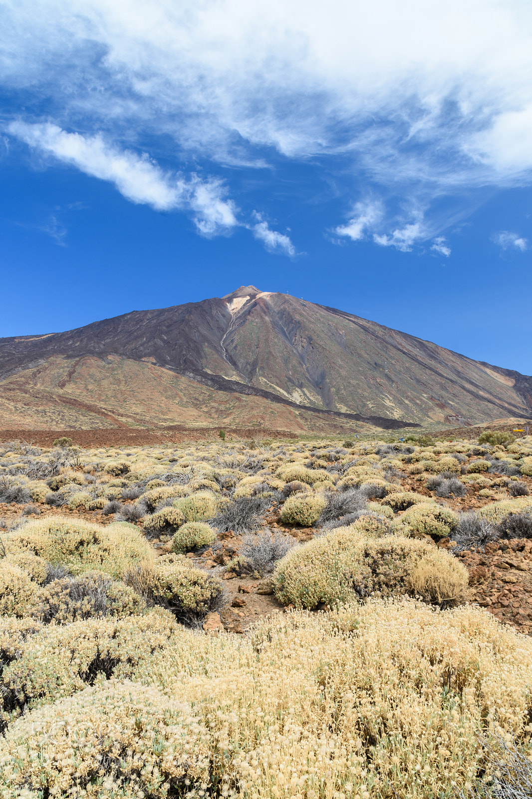 Nikon D7200 sample photo. Teide photography