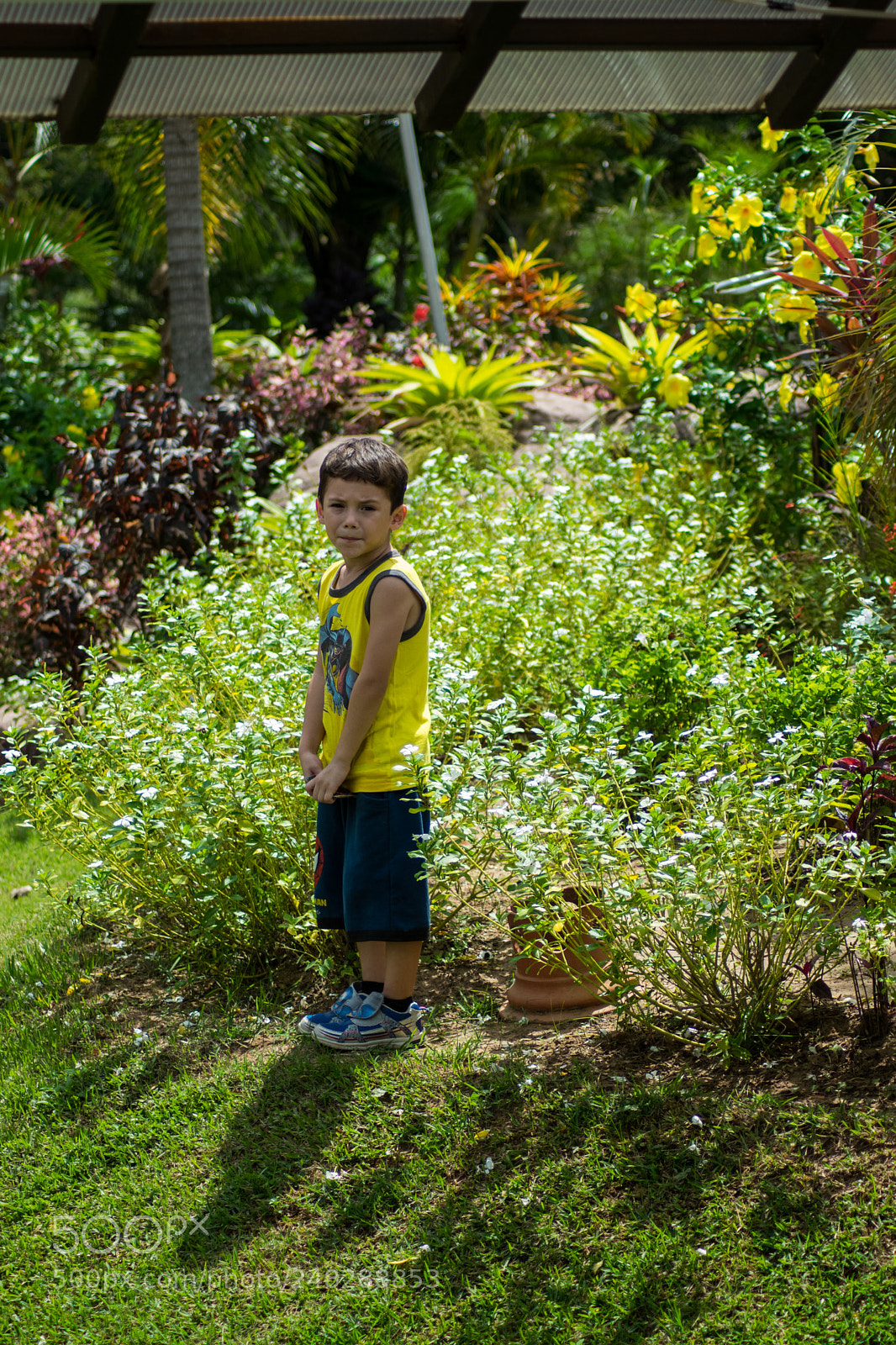 Nikon D5300 sample photo. Dsc photography