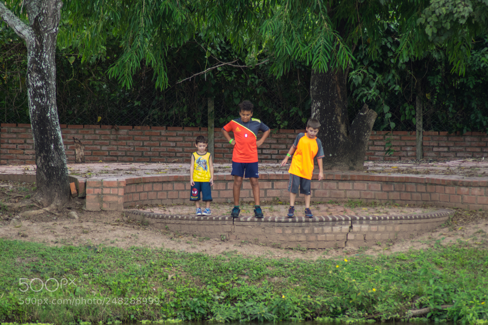 Nikon D5300 sample photo. Paseo familiar terramia photography