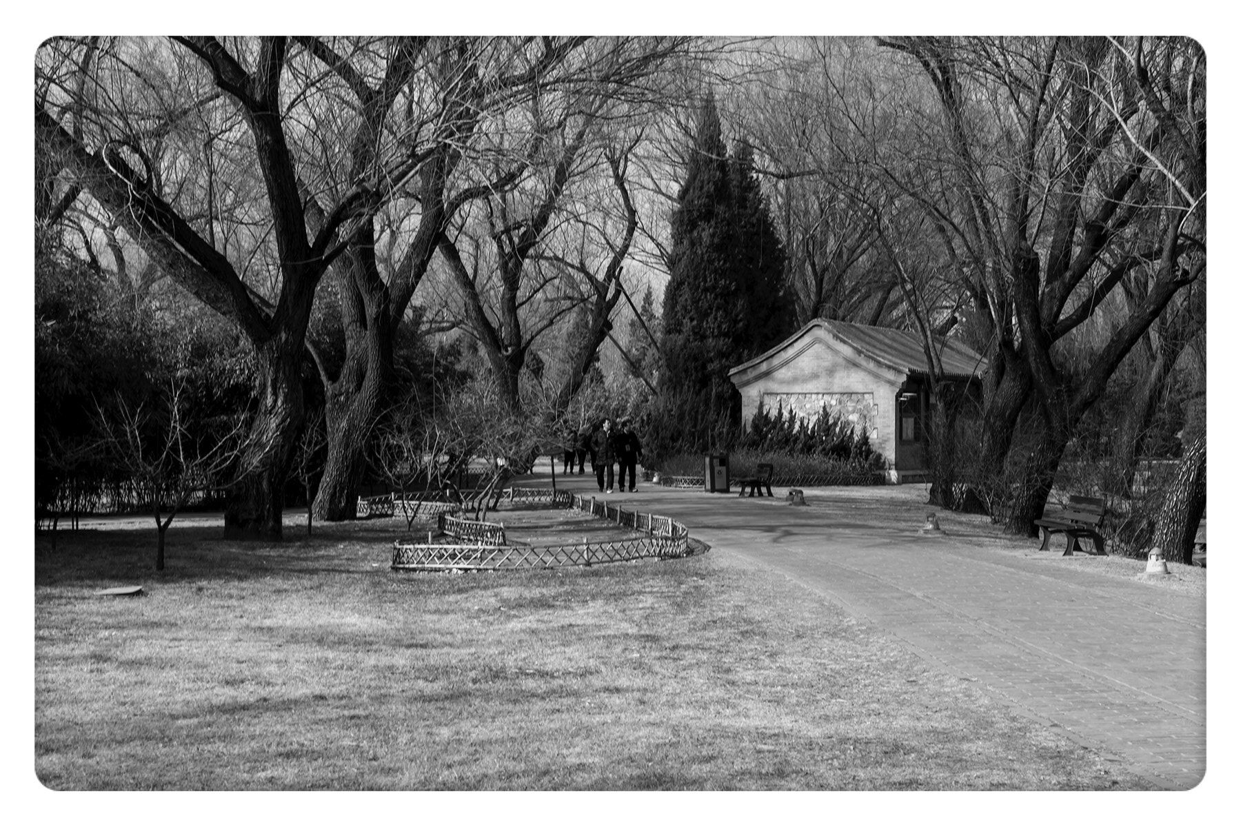 Leica M-Monochrom sample photo. The summer palace in the early spring（初春的颐和园） photography