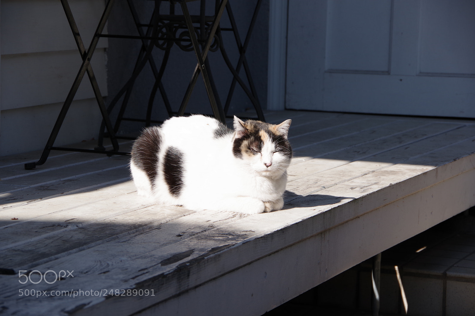Pentax K-70 sample photo. Untitled photography