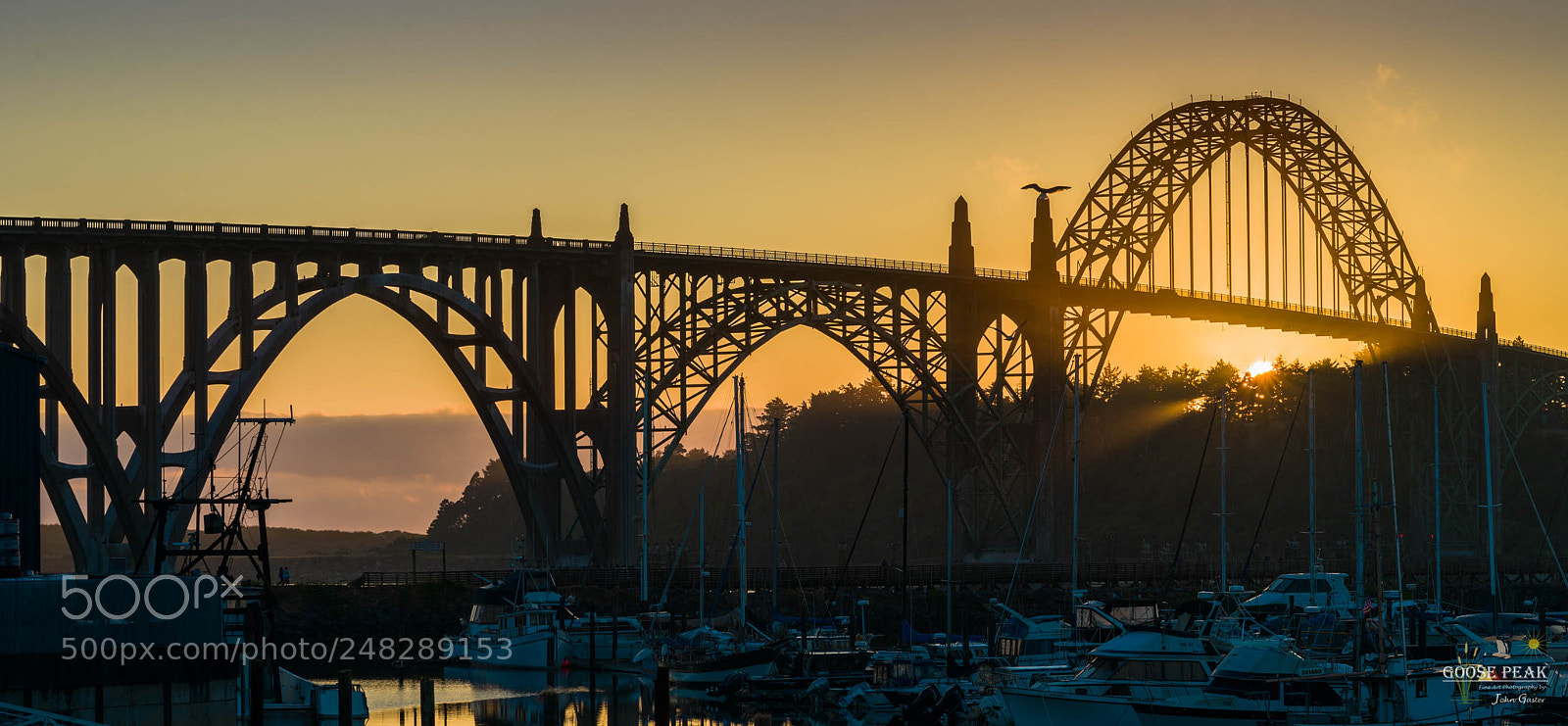Sony a7 II sample photo. Yaquina bay bridge photography