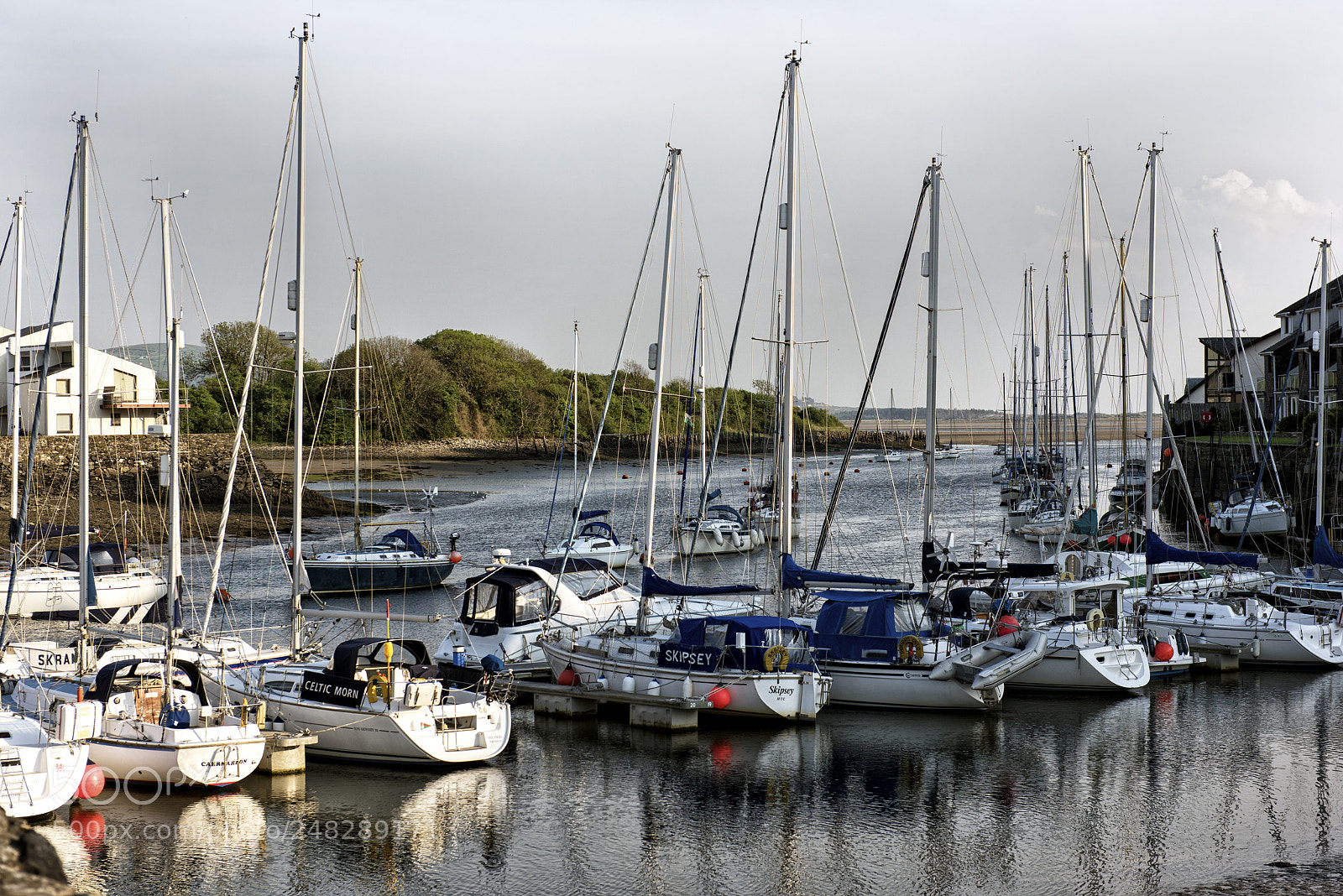 Nikon D810 sample photo. On the river photography
