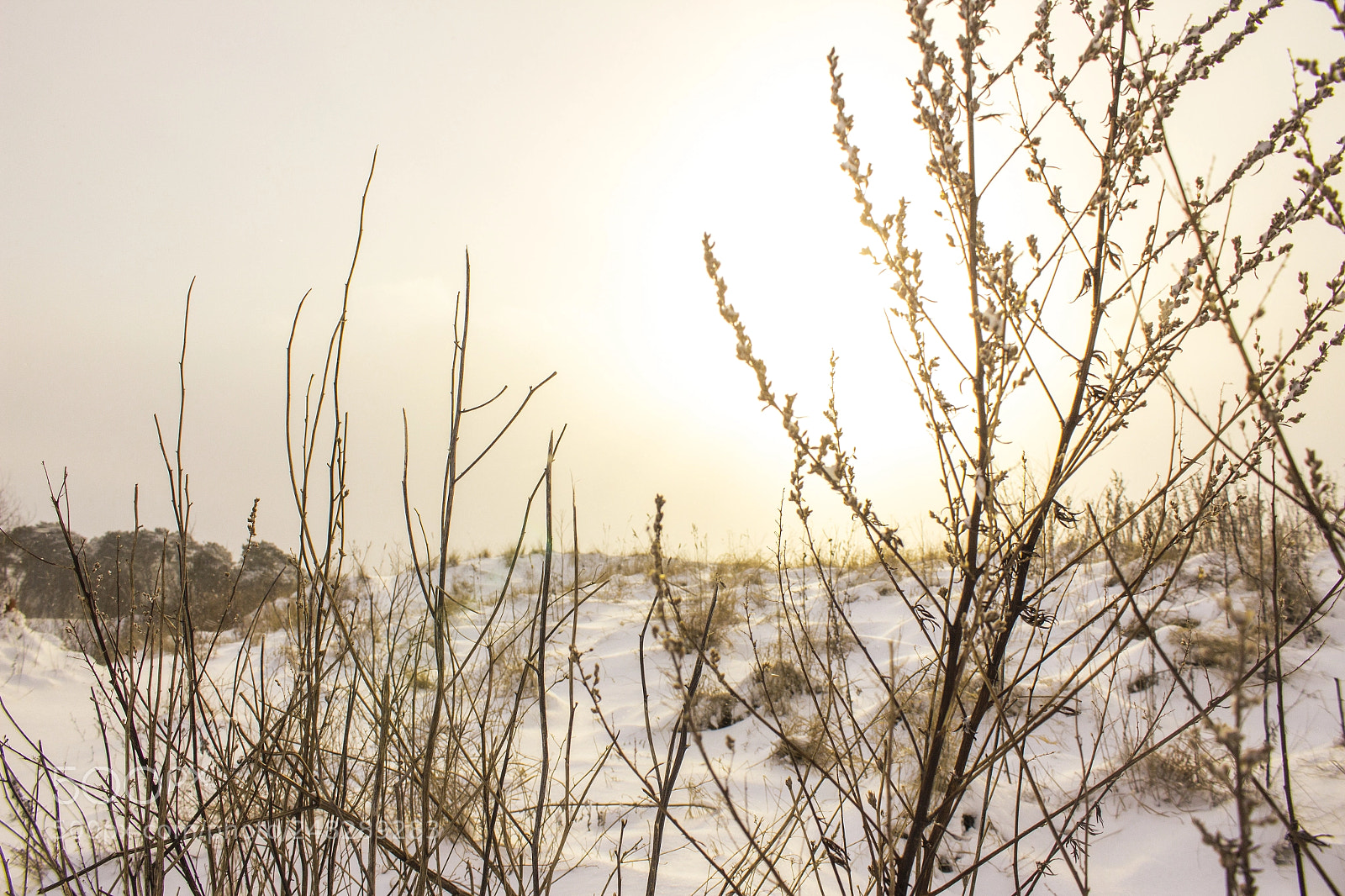 Canon EOS 1200D (EOS Rebel T5 / EOS Kiss X70 / EOS Hi) sample photo. A snowy sunset photography