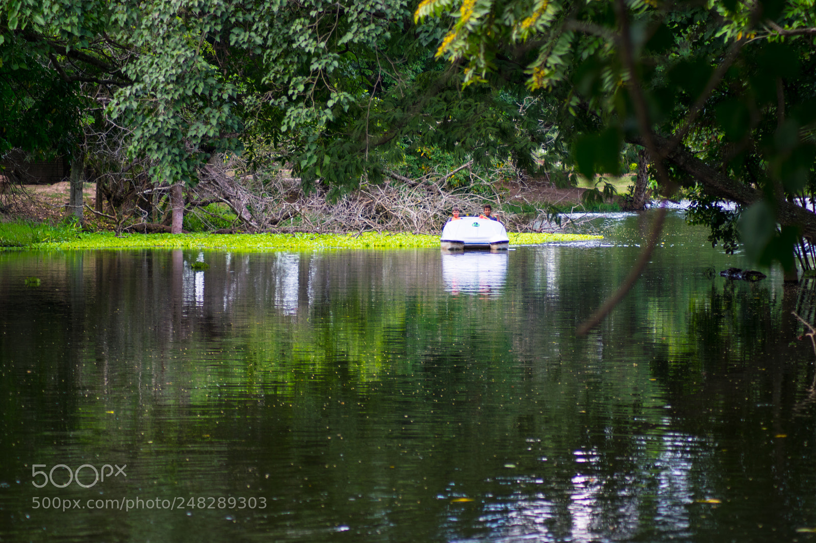 Nikon D5300 sample photo. Paseo familiar terramia photography