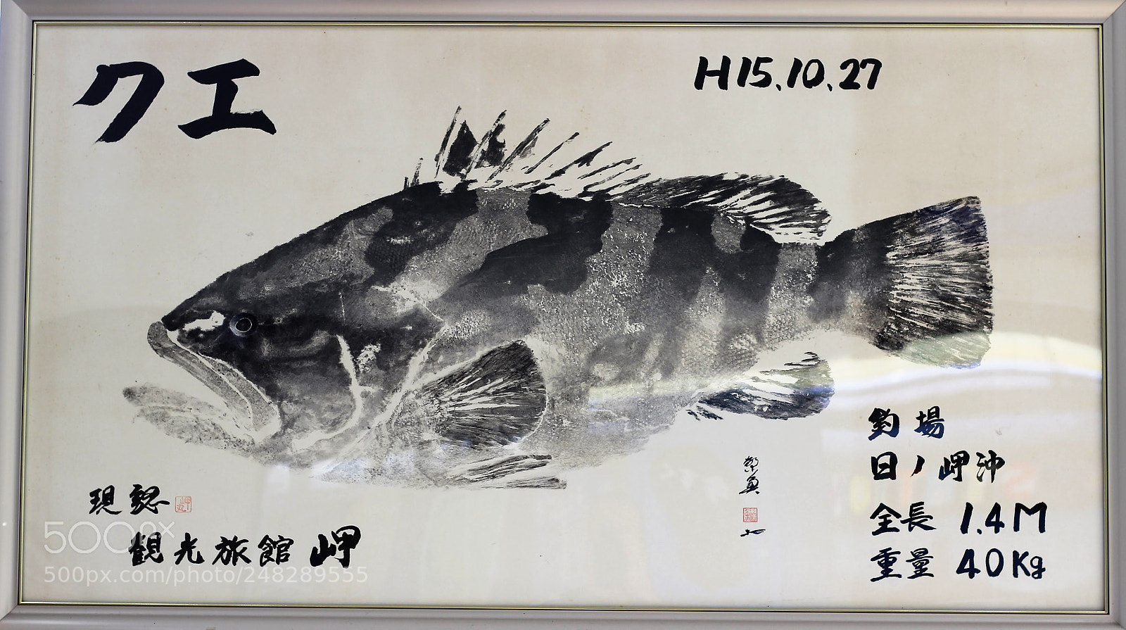 Canon EOS 600D (Rebel EOS T3i / EOS Kiss X5) sample photo. Fish print, gyotaku. the photography